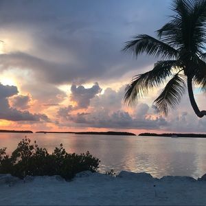 Meet your Posher, Michaela